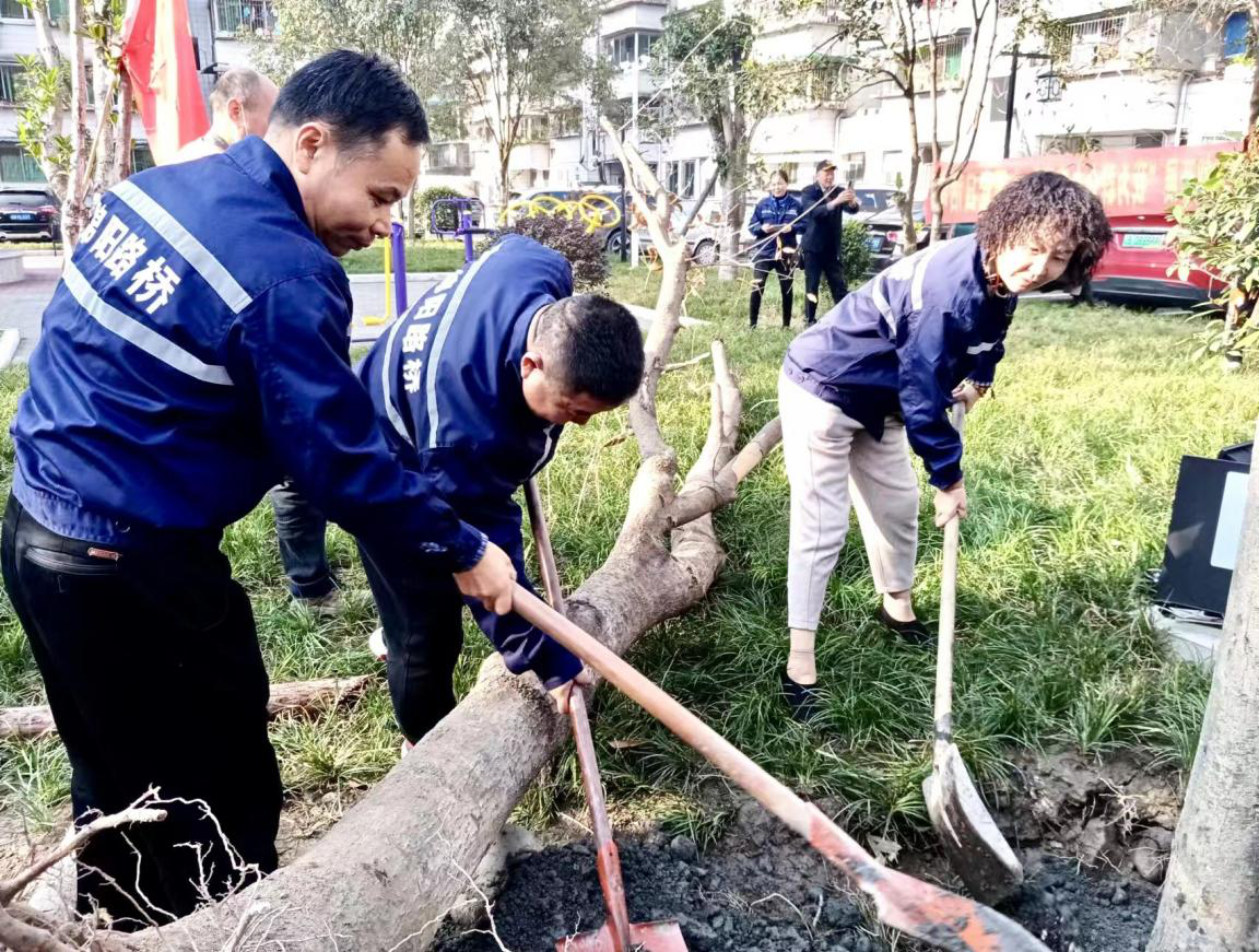 圖片3.png 圖片3.png