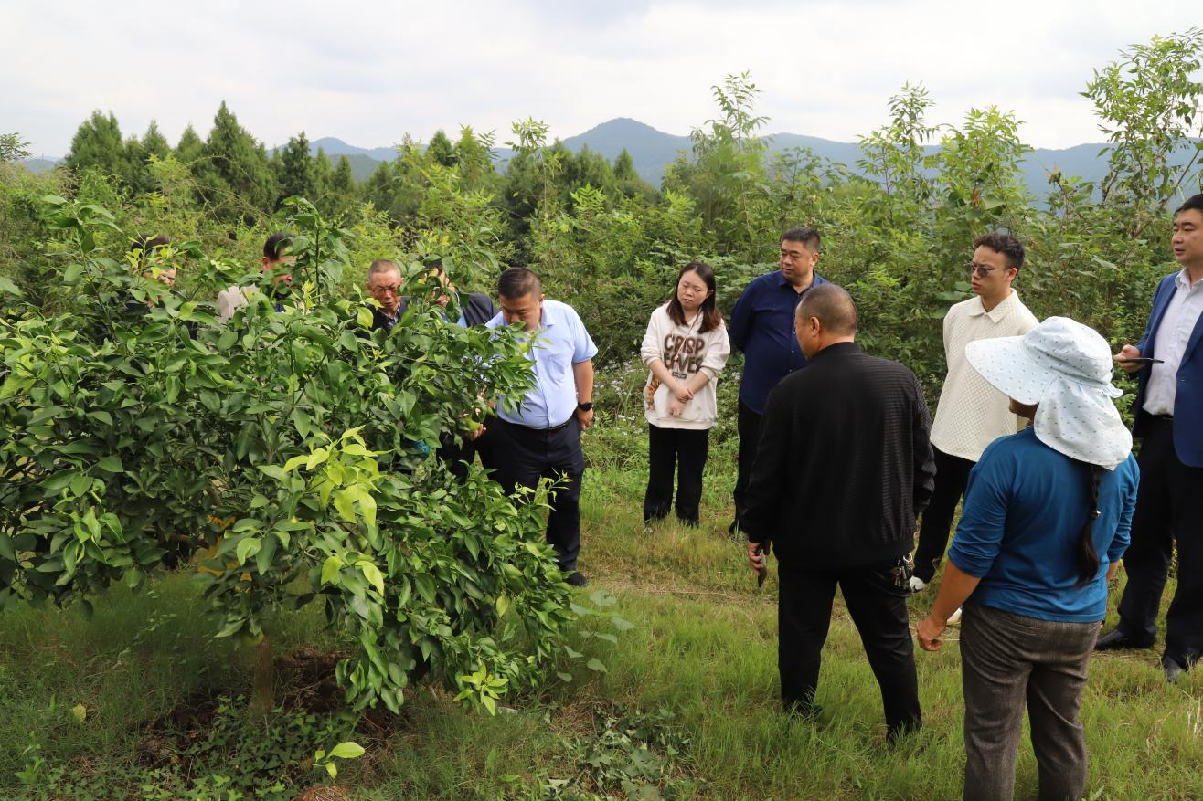 圖片5.png 圖片5.png